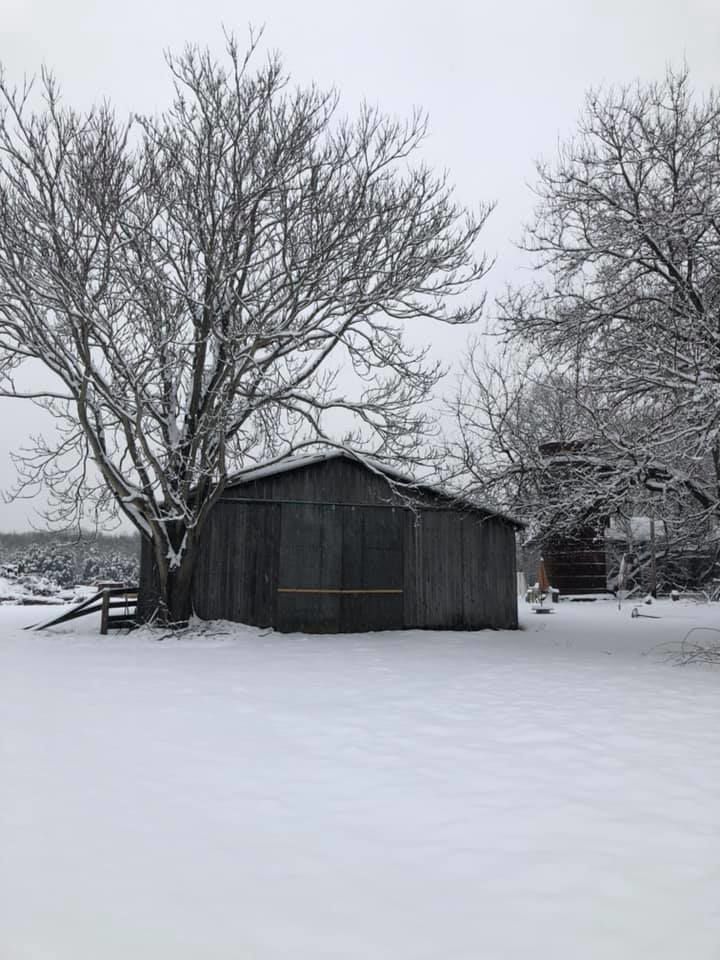 jan snow_Carrie Klemp Oliver2.jpg