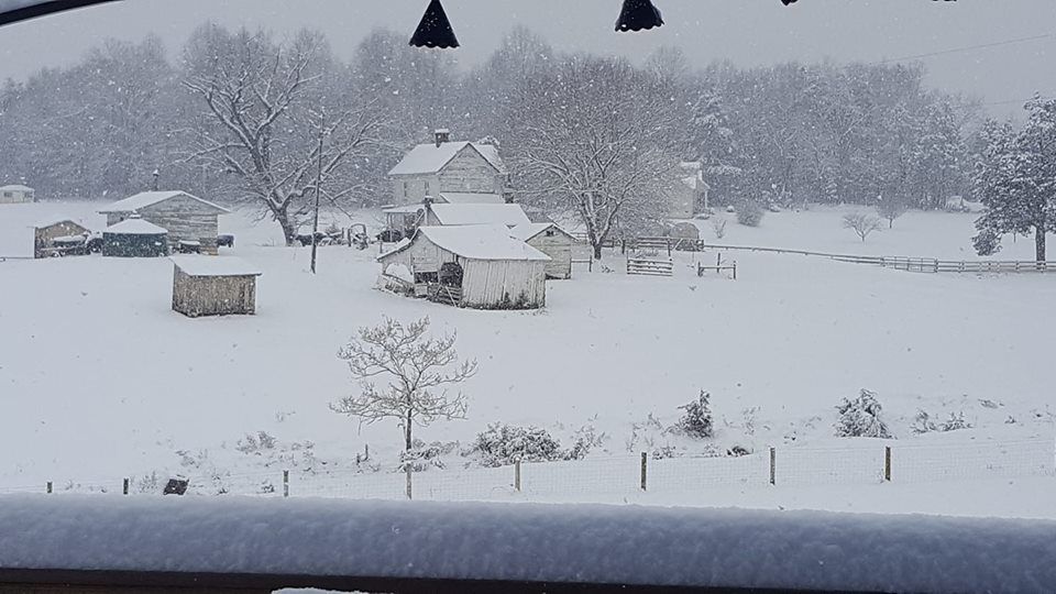 jan snow Karen Pope Morris Culpeper.jpg