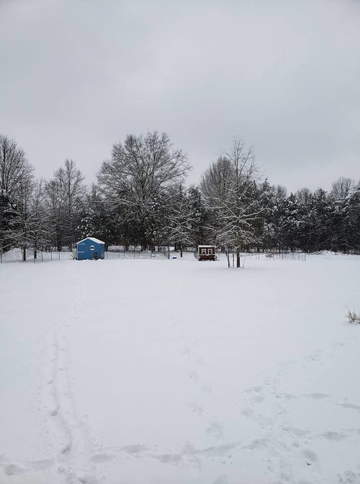 jan snow_Dale Furr copy.jpg