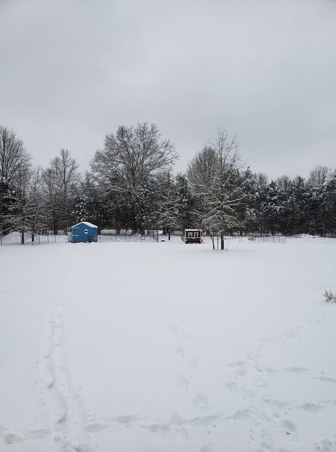jan snow_Dale Furr.jpg