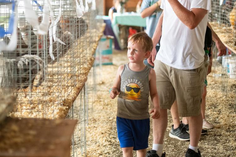 PHOTOS Thousands turn out for the Fauquier County Fair News