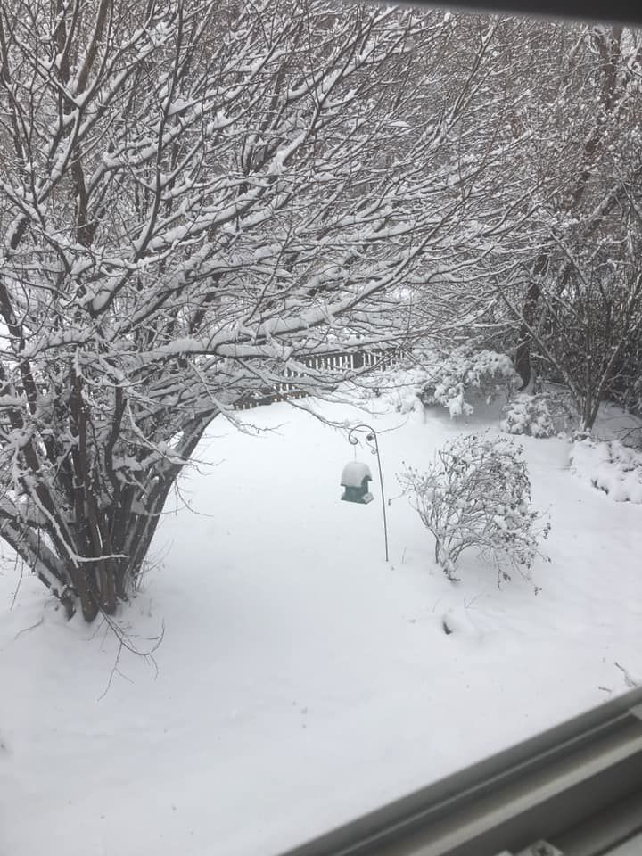 jan snow_Dave Russell.jpg