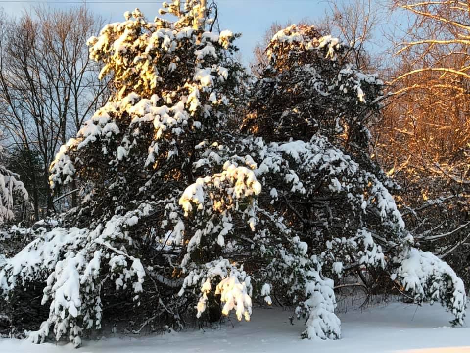 jan snow_Denise Cornett.jpg