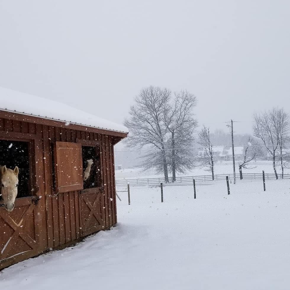 jan snow_Grace Tatiana.jpg