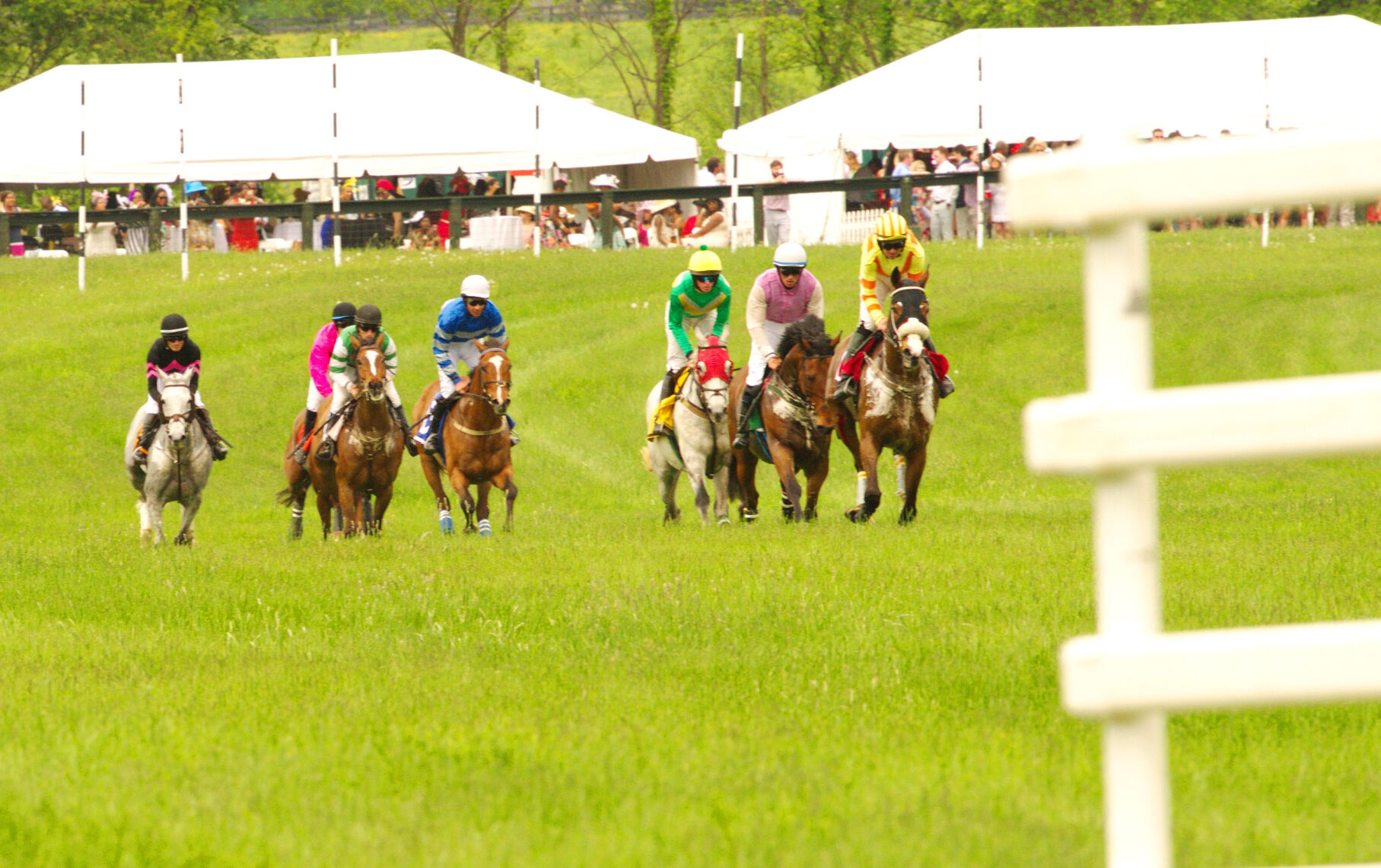 GOLD CUP Take your pick – headliner ...