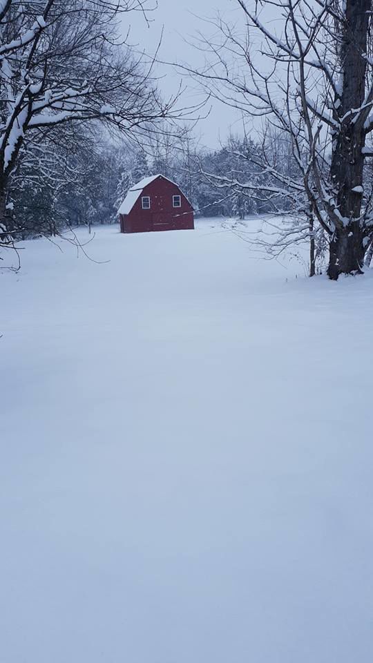 jan snow_Heather Slager Catlett.jpg