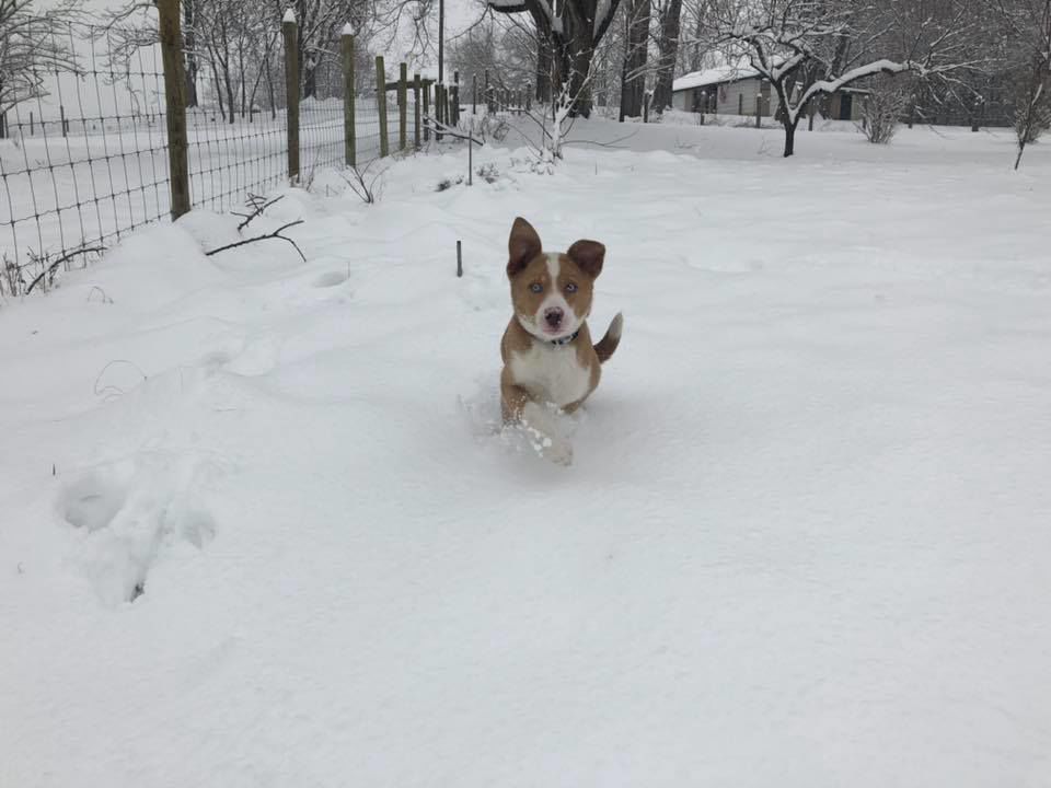 jan snow_Jake Walker.jpg