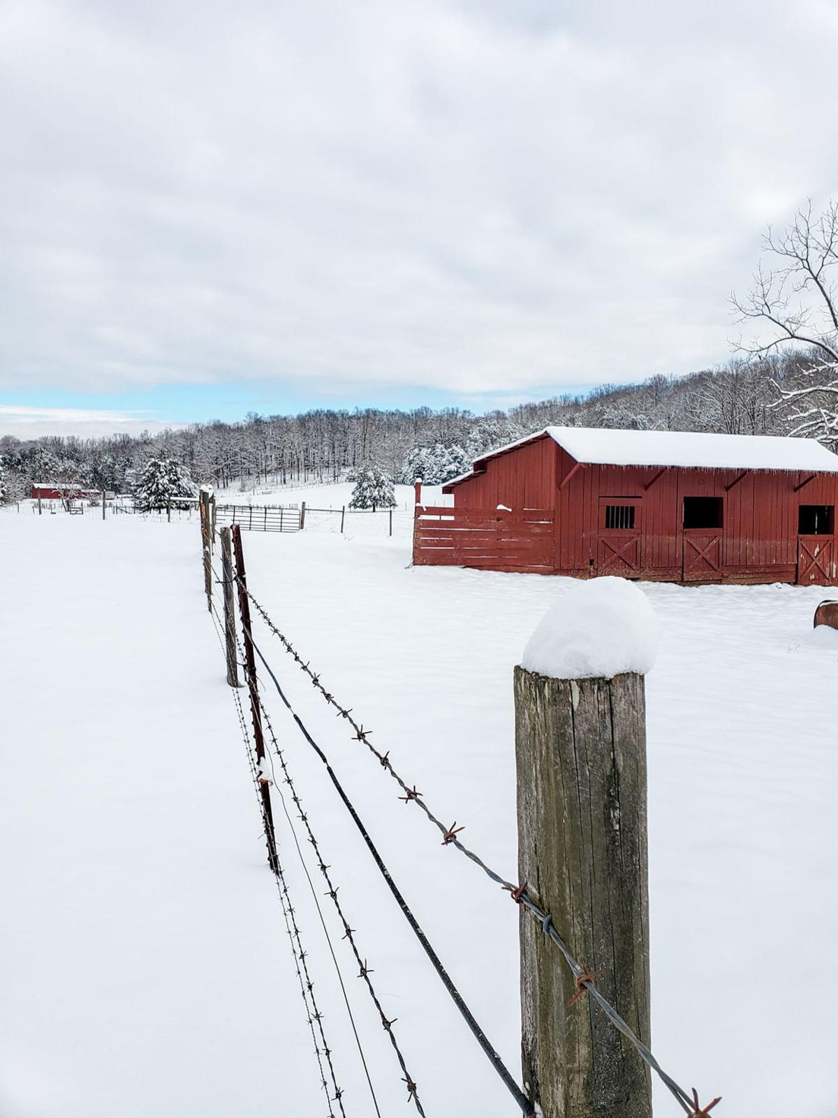 jan snow_Jessica Fulcher Remington this morning.jpg