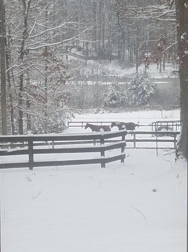 jan snow_Joy Bruneau Midland.jpg