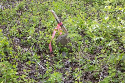 photo_ft_news_cemeteries 2 s_0412821.jpg