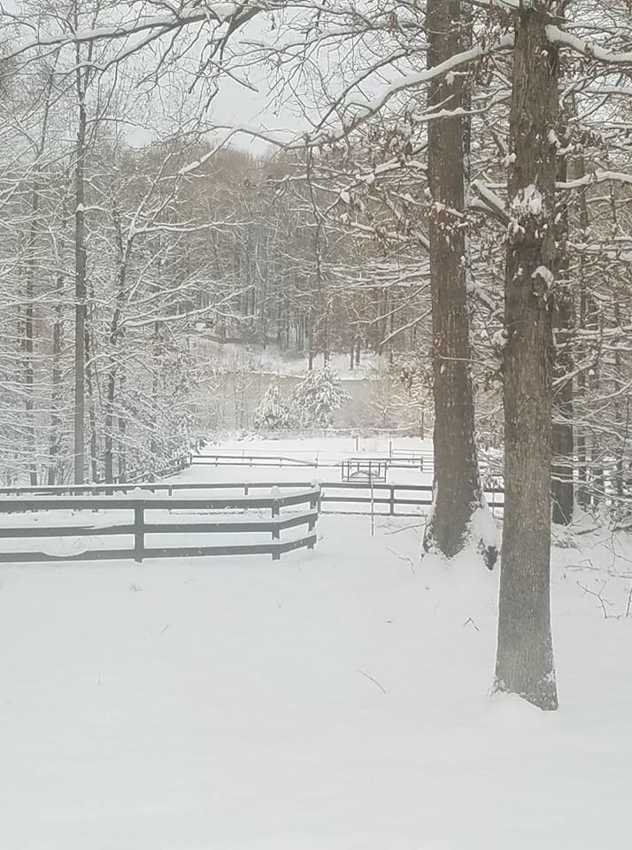 jan snow_Joy Bruneau2.jpg
