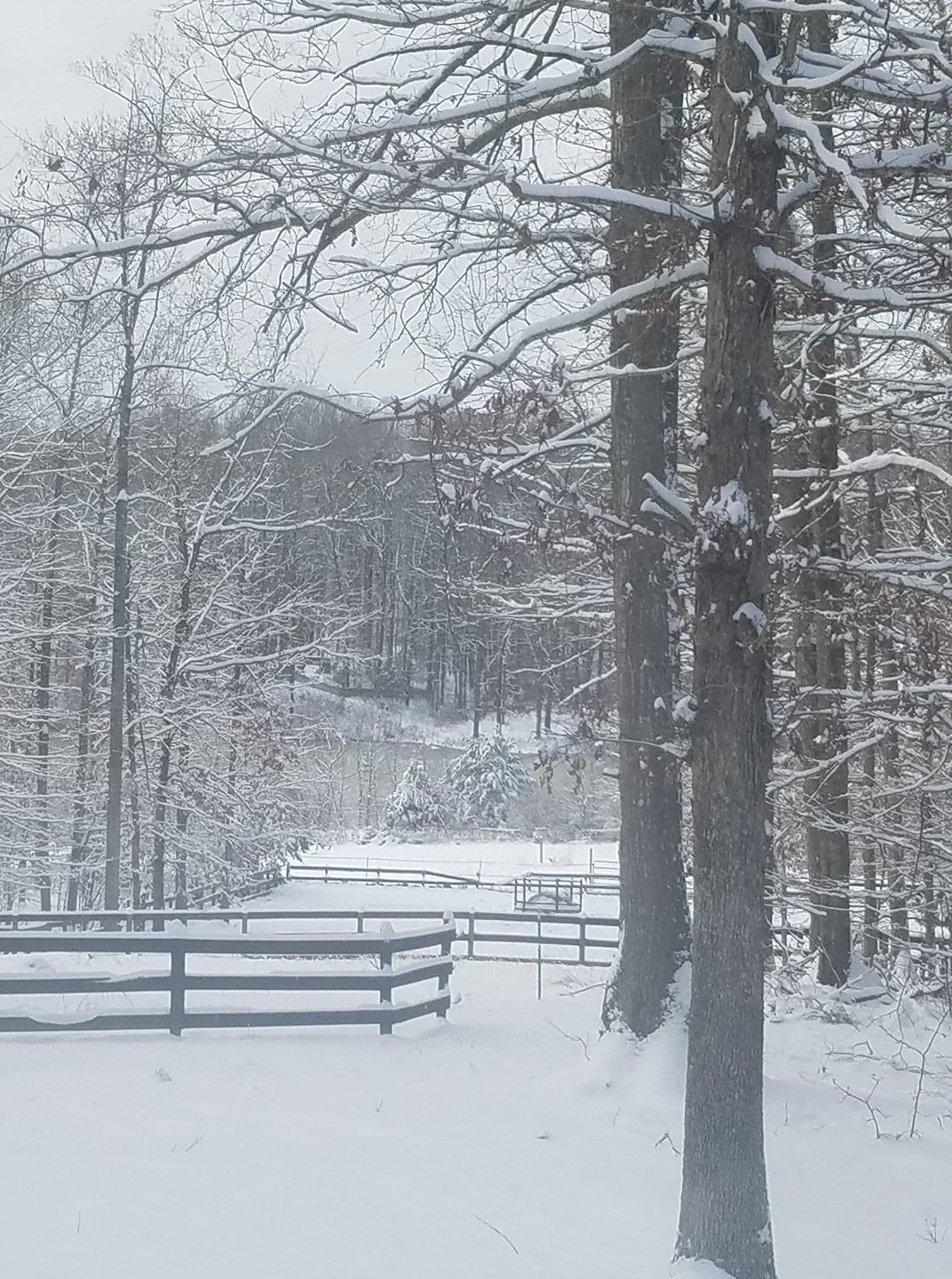 jan snow_Joy Bruneau5.jpg