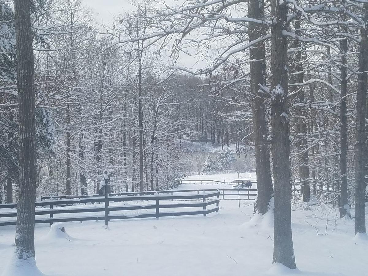 jan snow_Joy Bruneau6.jpg