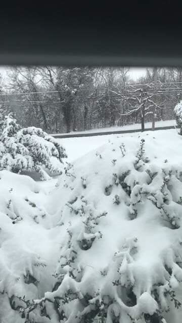 jan snow_Kevin N. Mettinger.jpg