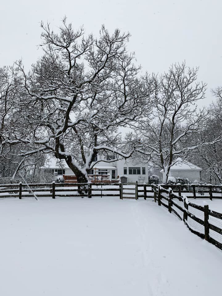 jan snow_Kristina Zeck2.jpg