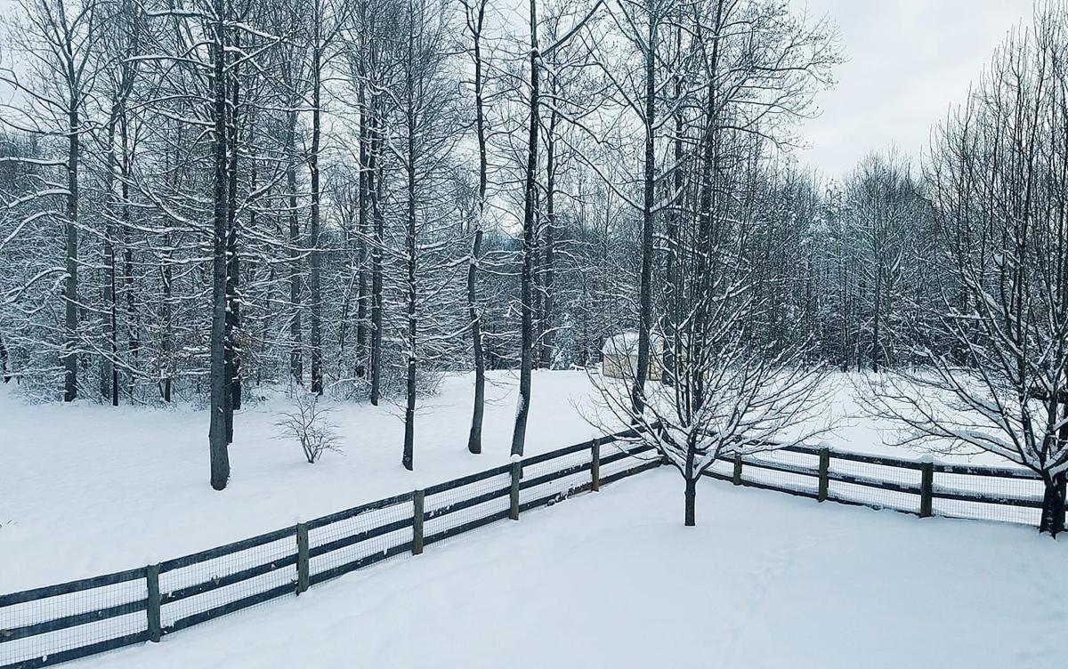 jan snow_Lisa Salyers Lightner Amissville.jpg