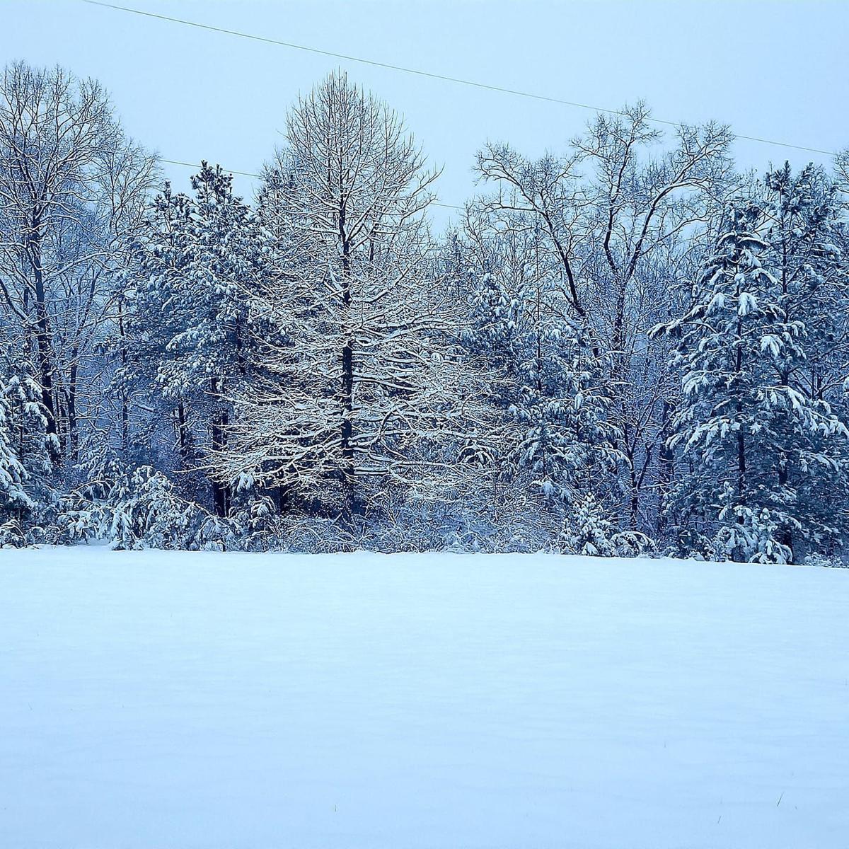 jan snow_Lowree Yv Cox.jpg