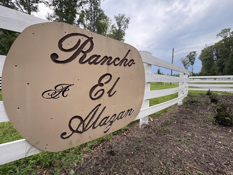 Report: ICE detained ‘at least 20 people’ after quinceañera shooting