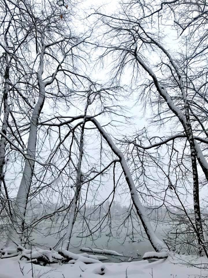 jan snow_Mike Robinson Lake Brittle.jpg