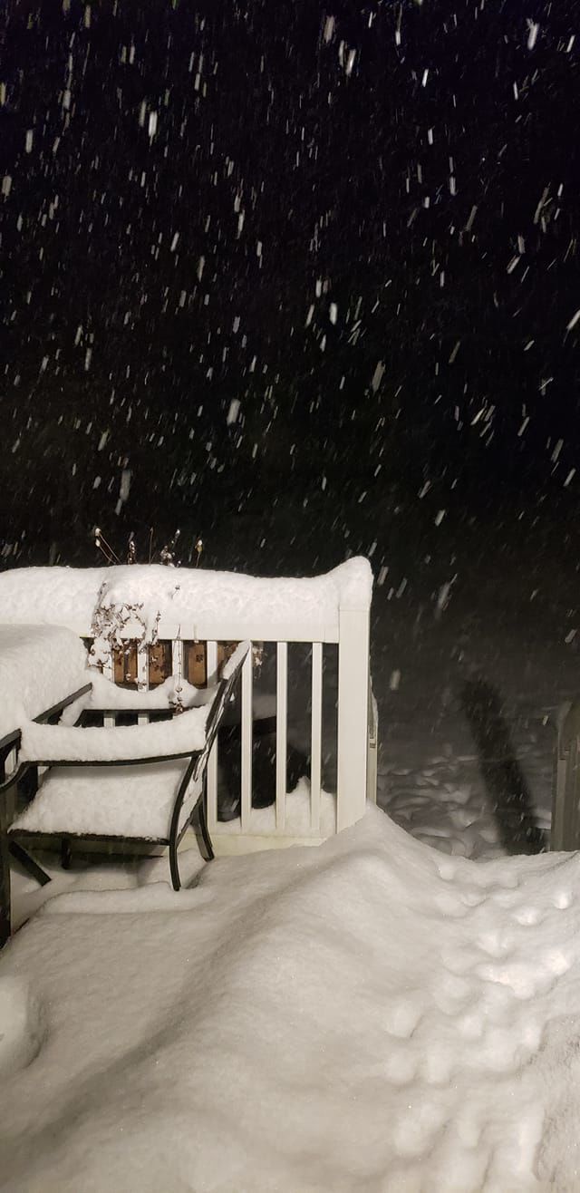 jan snow_Morgan Cahill.jpg