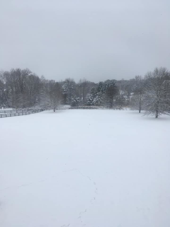 jan snow_Nancy Premen.jpg