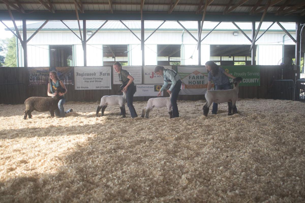Fauquier County Ag Expo