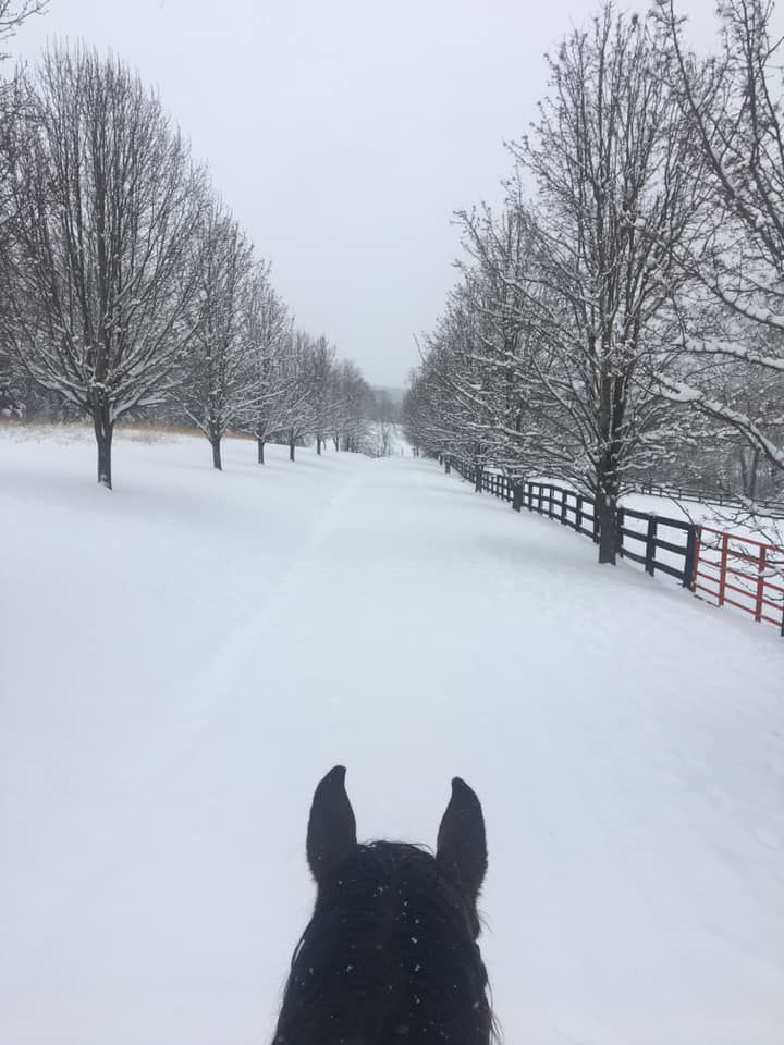 Jan snow_Nicole Loch.jpg