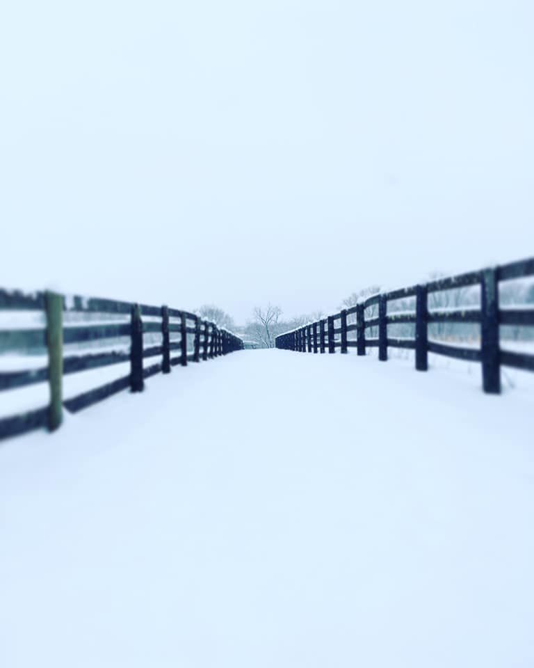 jan snow_Pavla Teie.jpg