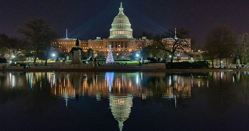 Day Trip! Five Fun Things to Do in D.C., Holiday Edition