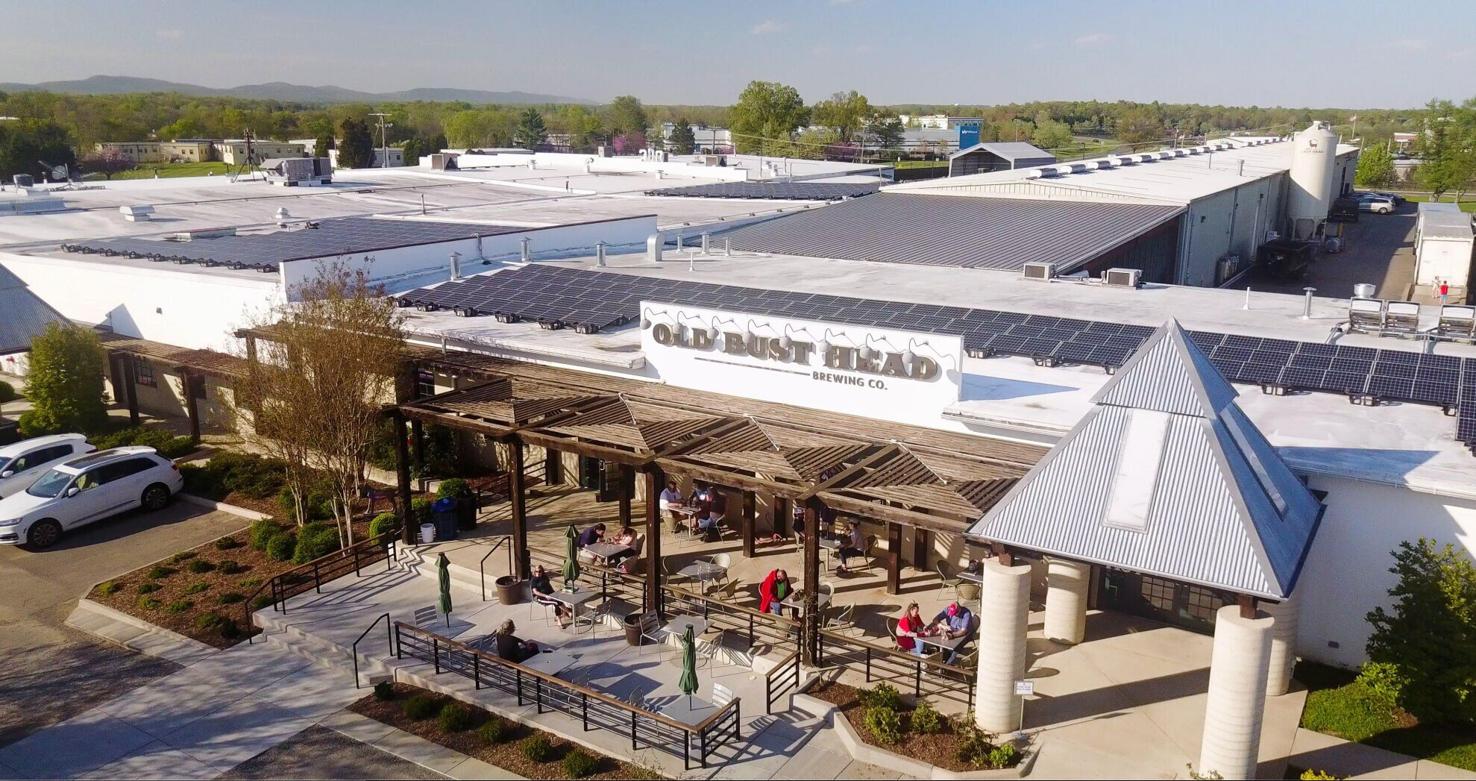 Fauquier County's Old Bust Head 'Green Brewery of the Year' Business