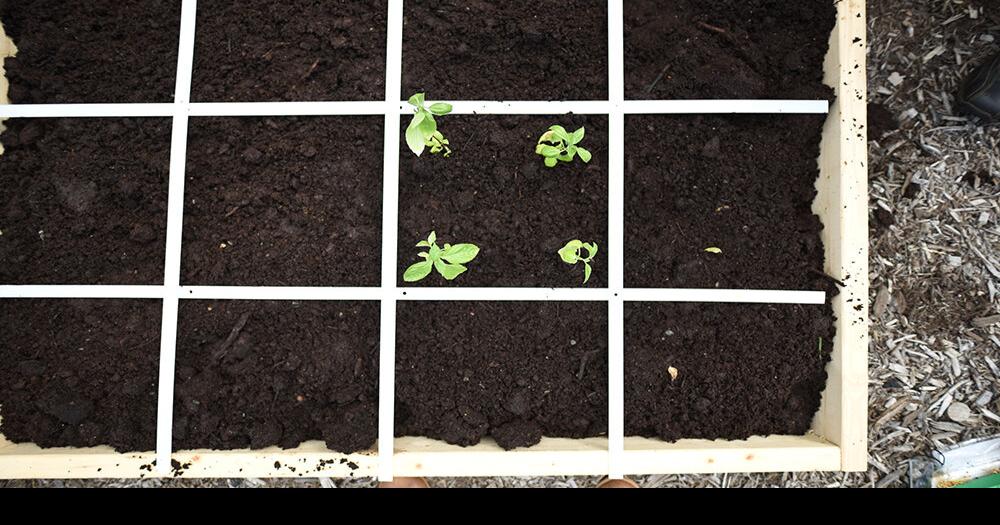 Gardening by the Foot Home & Family