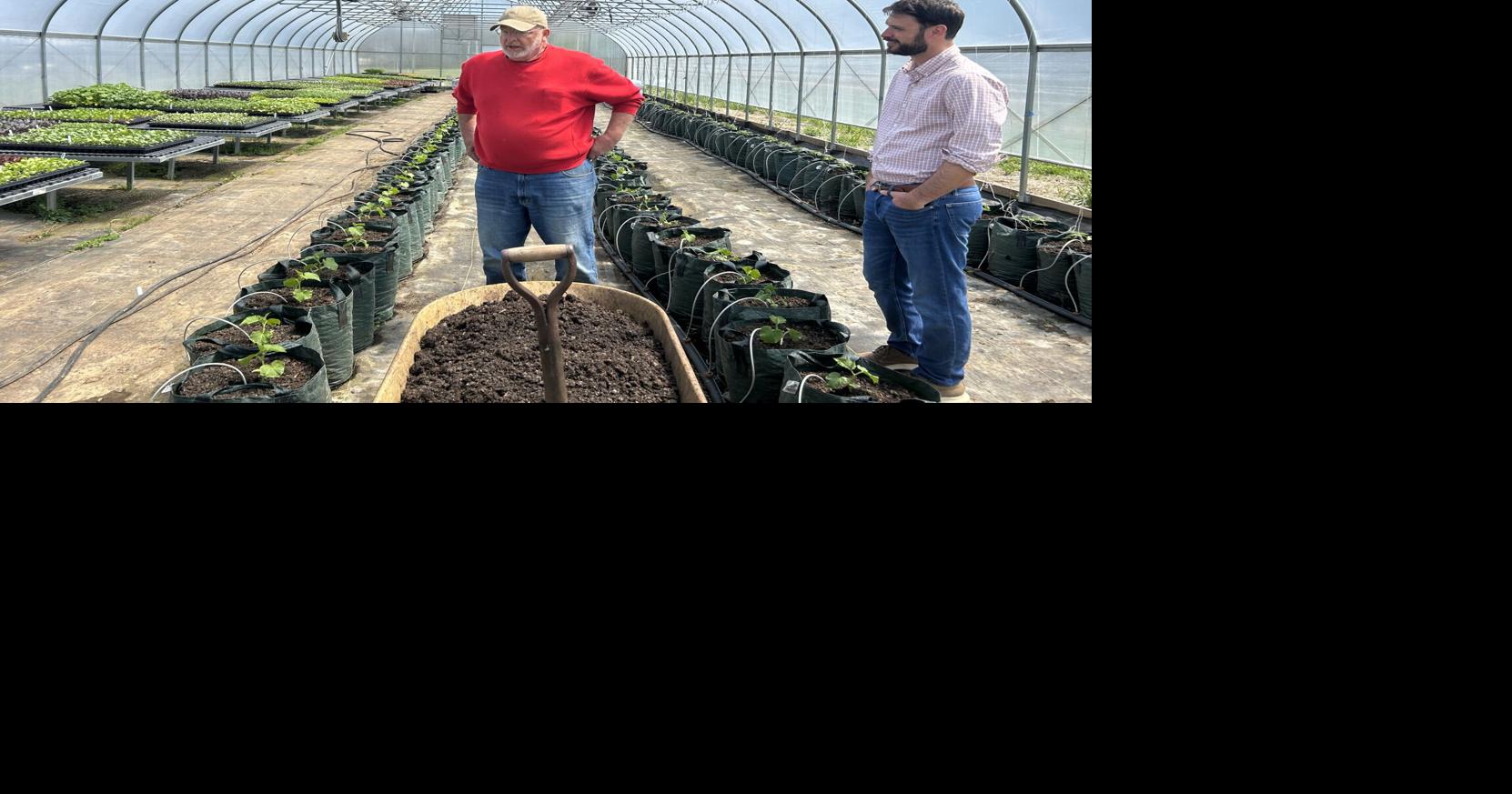 'A pretty hefty donation:' Nova Hemp hands over $10K to Fauquier Education Farm