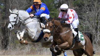 Warrenton Hunt Point to Point Timber Race