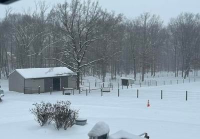 Fauquier County Public Schools closed Wednesday | Education