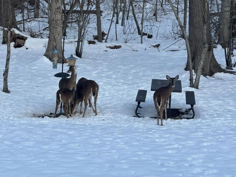 Fauquier County schools on two hour delay Thursday News fauquiernow com