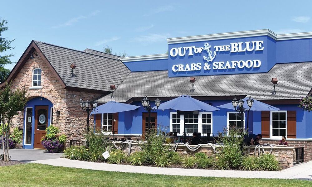 Out of deals the blue seafood