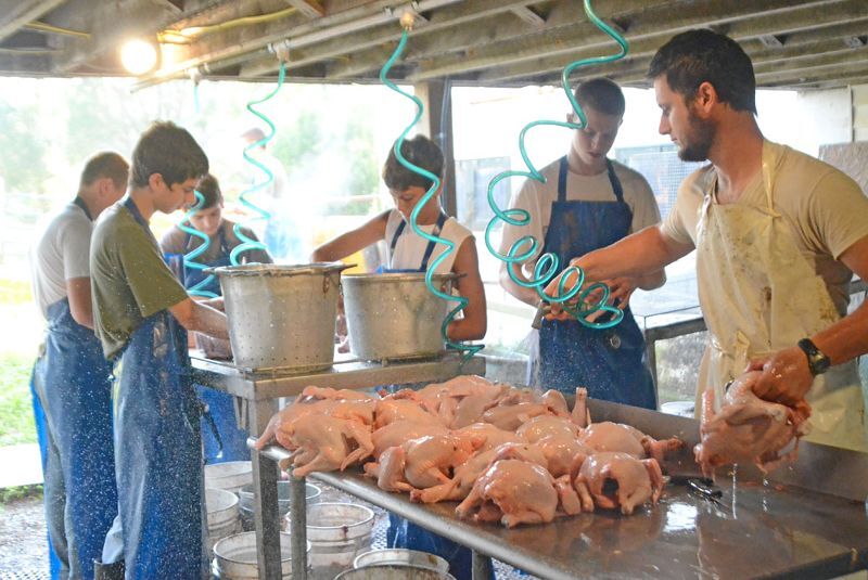 Storied Whiffletree Farm home for young, sustainable operation, Business