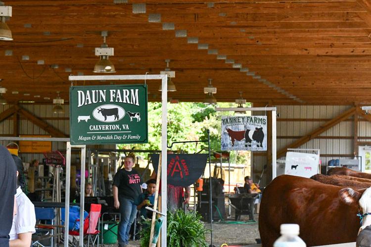 IN PHOTOS Fauquier County Fair opening day features rides, games and