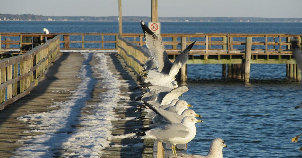 The Playground on the Potomac: Colonial Beach shines in winter