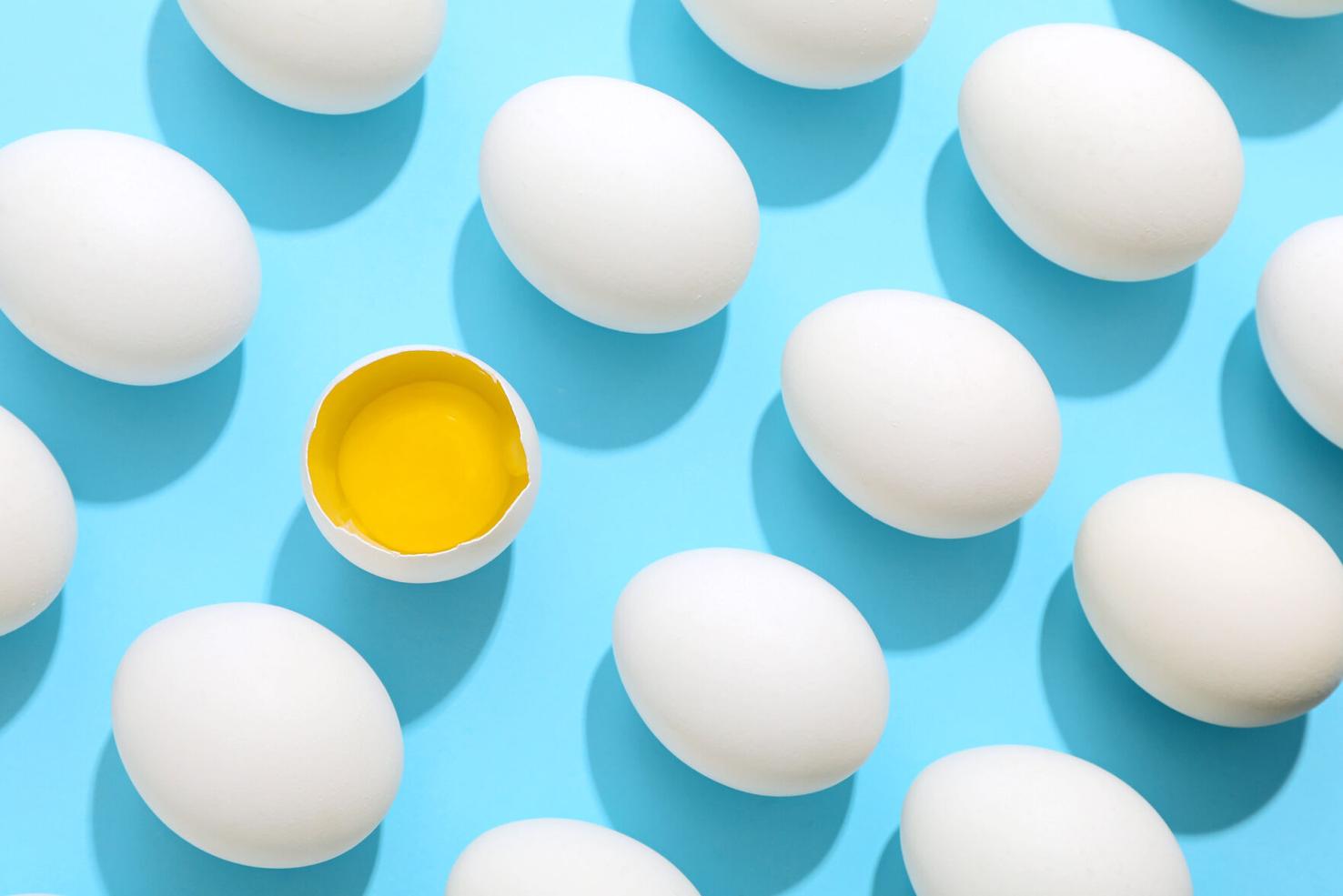 All about eggs: Everything you should know | Dairy & Eggs