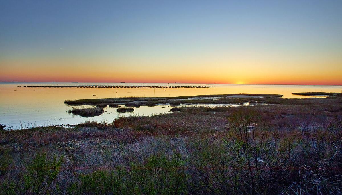 Can Cooler – Cherrystone Aqua-Farms