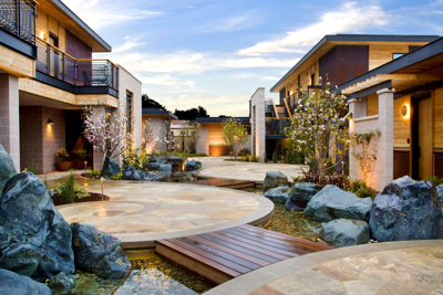 10 ways to experience Napa’s bountiful agritourism