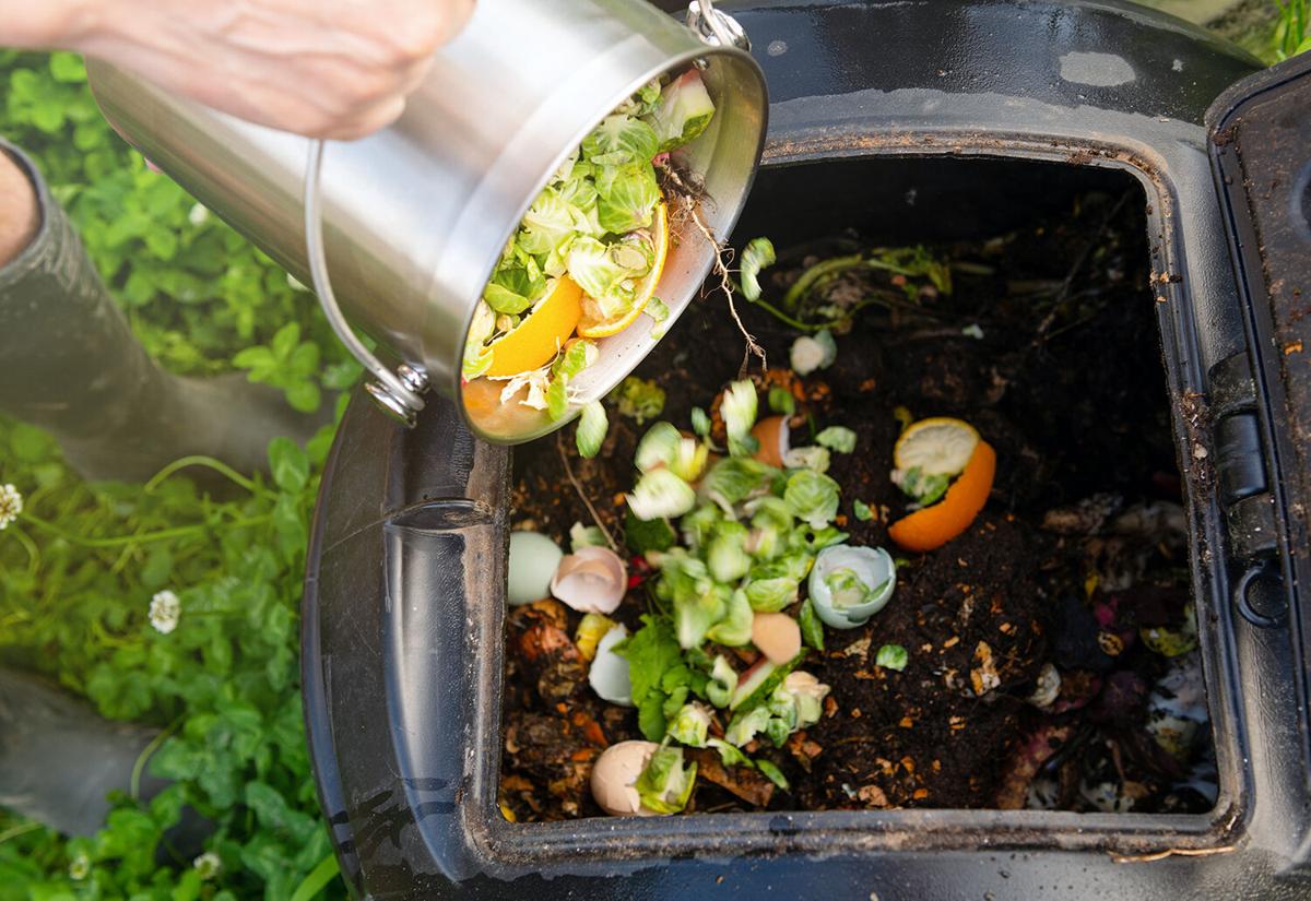 Best kitchen compost bins: Make food-scrap fertiliser