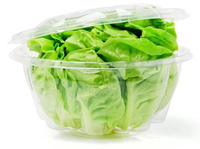 Lettuce in plastic