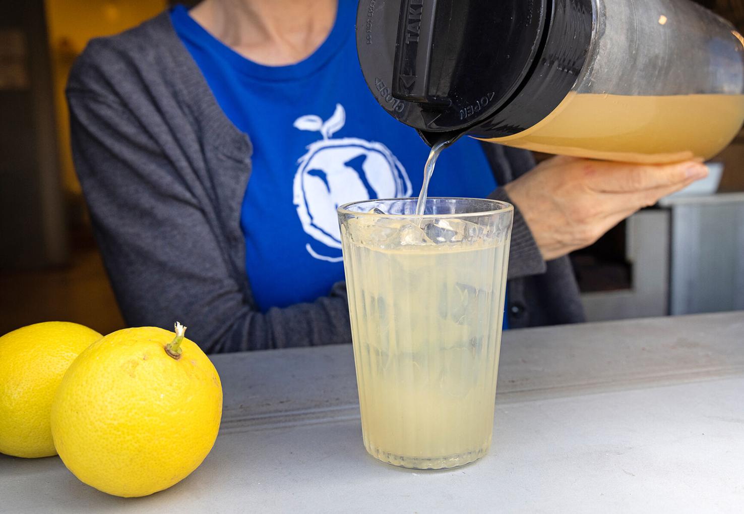 Holy Basil Lemonade Beverages