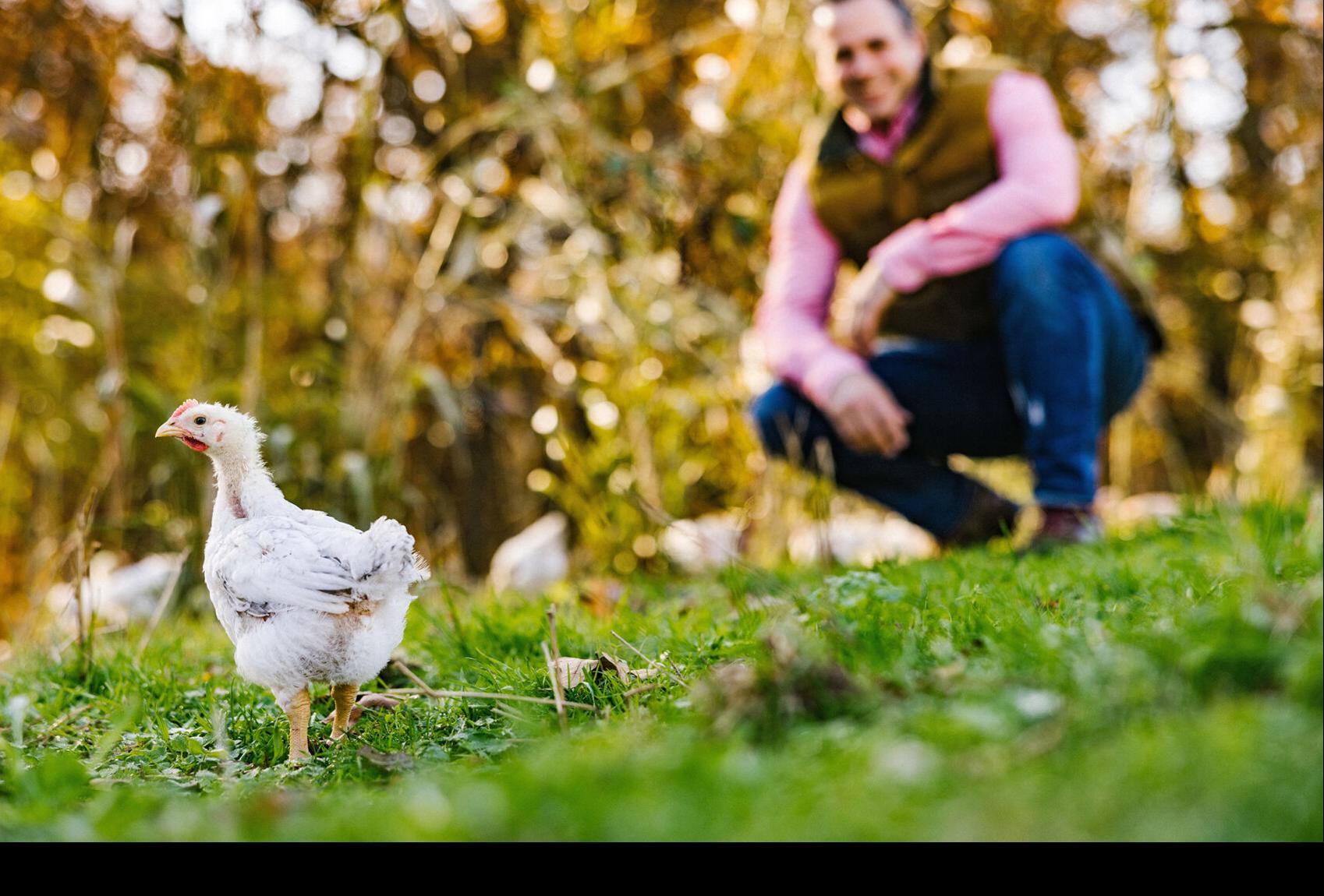Issue No. 46 Heritage chicken in Arkansas Meat & Seafood