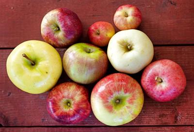 Issue No. 31: Apples and hard cider in Iowa City
