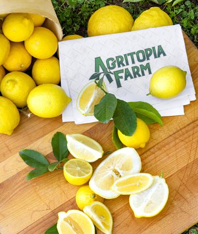 Agritopia lemons