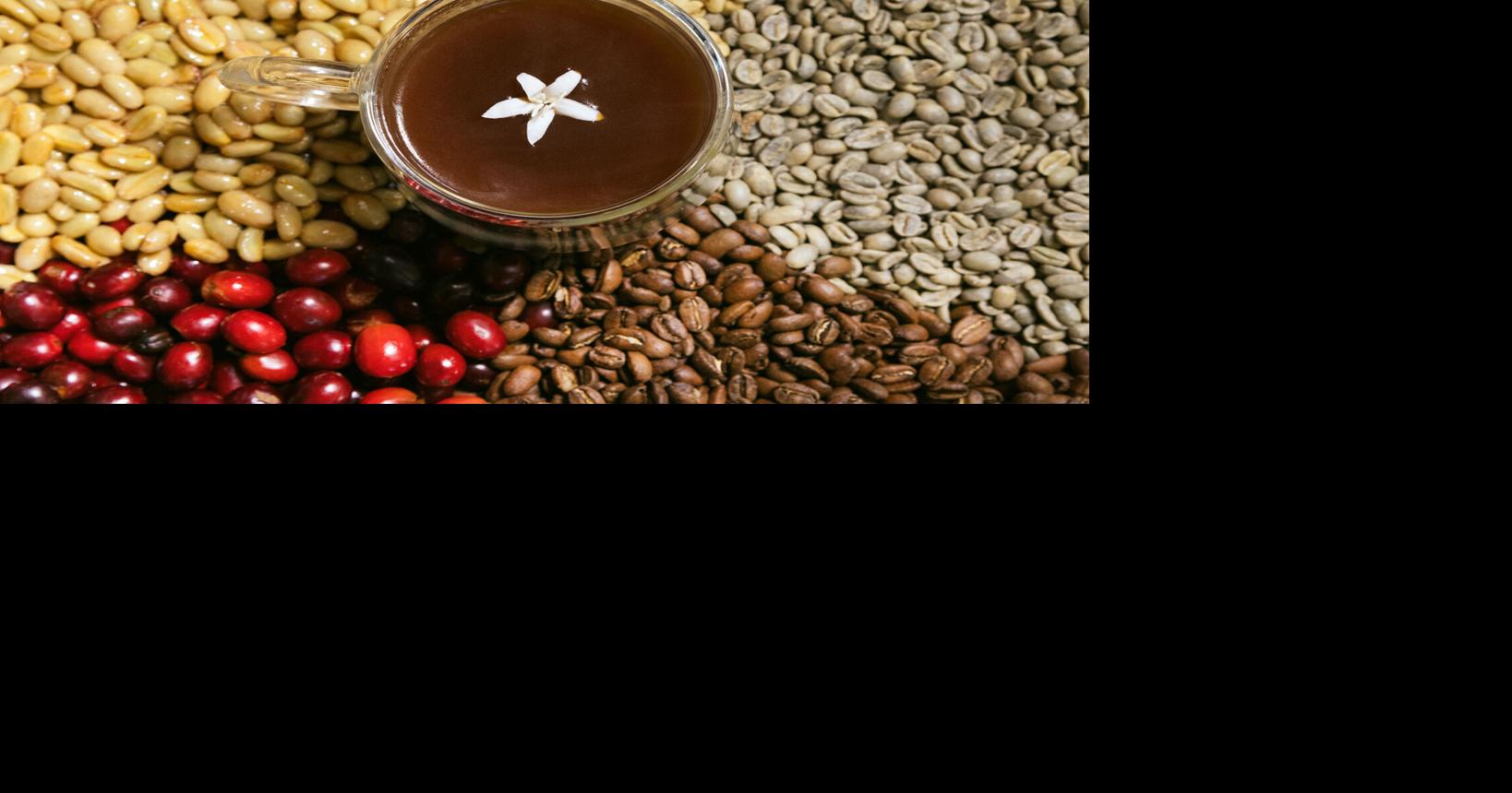 Coffee talk: Get to know the beans and the brews | Beverages ...