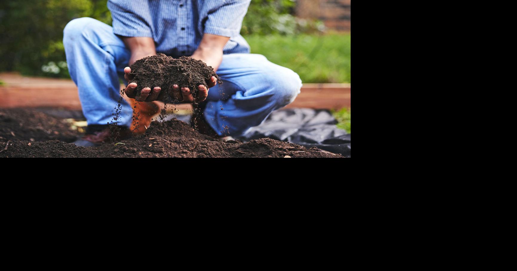 DOWN TO EARTH: The real dirt on composting